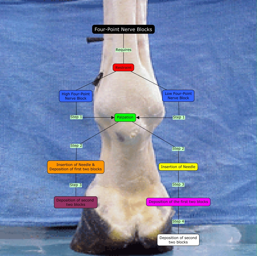 FourPoint Nerve Blocks